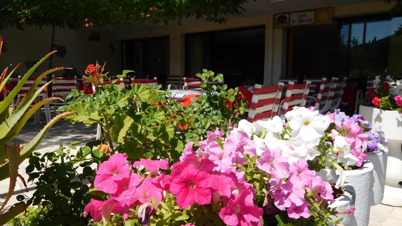 Hotel Le Pleiadi Bellaria-Igea Marina Dış mekan fotoğraf