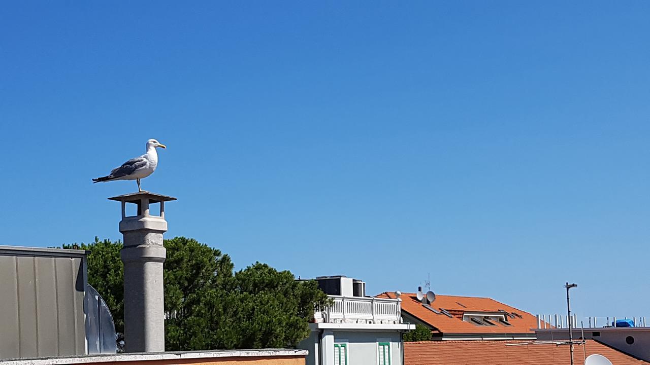 Hotel Le Pleiadi Bellaria-Igea Marina Dış mekan fotoğraf